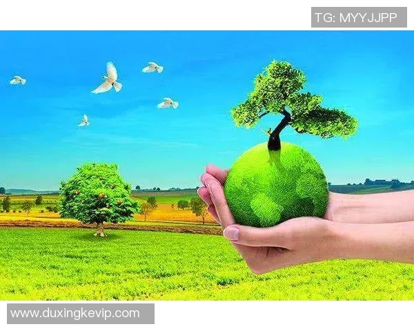 绿色球场上的爱心传奇 他是足球场上的环保英雄