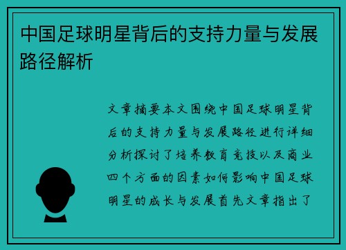 中国足球明星背后的支持力量与发展路径解析